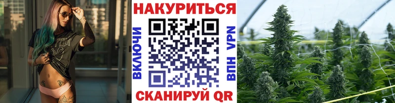 Шишки марихуана ГИДРОПОН  где купить   Заринск 